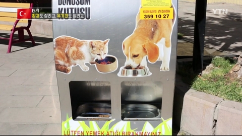 터키 유기견 살리는 '착한 자판기'