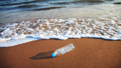 리포터에게 묻는다 : 바다 위협하는 '플라스틱' 없애기, 이것이 더 궁금하다!