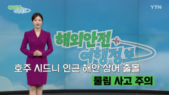 호주 시드니 인근 해안 상어 출몰…물림 사고 주의