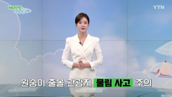 원숭이 출몰 관광지 물림 사고 주의