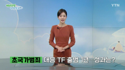 초국가범죄 대응 TF 출범 1년…성과는?