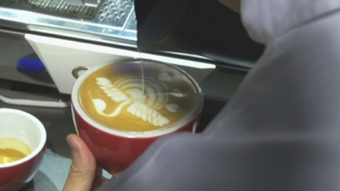 호주 평정한 한국 '커피프린스'들