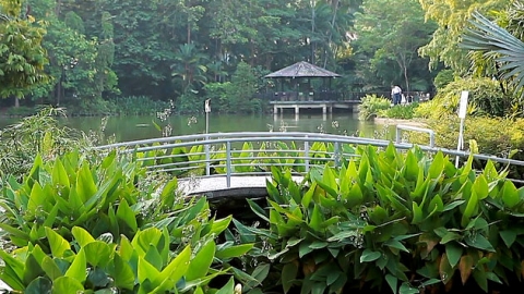 [세상교과서] 50년의 계획…정원의 도시 '싱가포르'