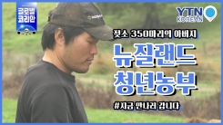 뉴질랜드 소 350마리의 아버지, 청년 농부 최민수