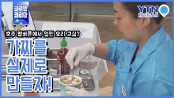 예술 작품이 된 컵라면