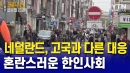 네덜란드, 고국과 다른 대응으로 혼란스러운 한인사회