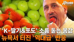  '금실이'와 '샤인이'의 미국 입성기!