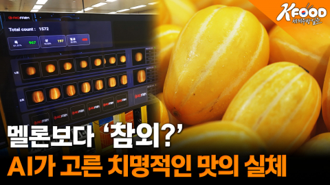 [K-푸드 세계주방일주] 코리아 멜론은 잊어라! '황금빛 스타' 참외(CHAM-OE)의 오디션