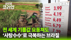 '제2의 석유파동은 없다' 대체 에너지 개발하는 브라질