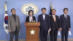 여야, 선거제 개편 큰 틀 합의…"연동형 비례대표 적극 검토"