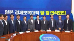 당·청, 日 수출 규제 대응 연석회의