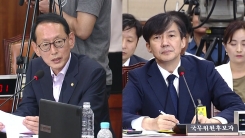 조국 법무부 장관 후보자 청문회 (17)