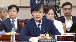 조국 법무부 장관 후보자 청문회 (18)