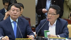 대검찰청 국정감사 (4)