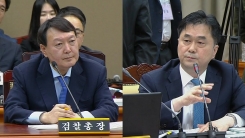 대검찰청 국정감사 (5)