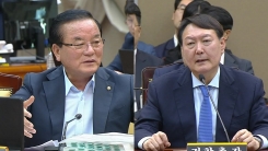 대검찰청 국정감사 (11)