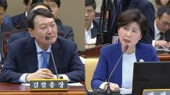 대검찰청 국정감사 (12)