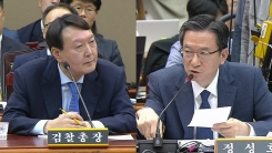 대검찰청 국정감사 (13)