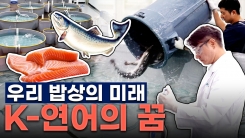[YTN 특집] K연어의 꿈 블루푸드의 미래
