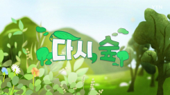 [YTN 특집] 다시 숲