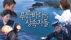 [YTN 특집] 푸른바다의 상속자들