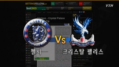 해외 사이트 예측 비교