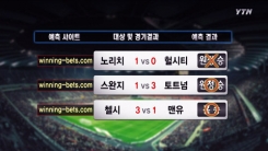 해외 사이트 예측 비교