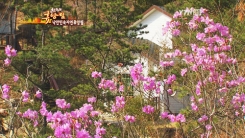 국립낙안민속자연휴양림
