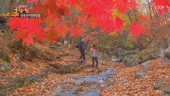 국립운문산자연휴양림