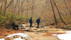 국립대야산자연휴양림
