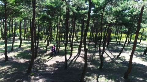 [수목원 산책] 울산테마식물수목원