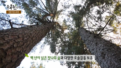 [수목원산책] 장흥자생수목원