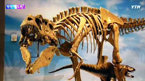 미국에서 신종 슈퍼 포식 공룡 화석 발견
