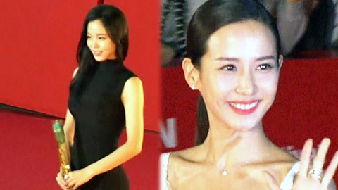 스타들의 향연, 부산 국제 영화제 개막