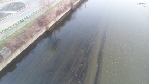 탄천 기름 오염