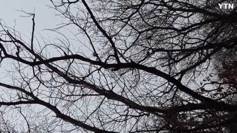 천마산 기도원.