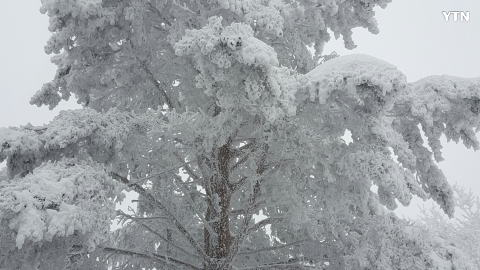 한라산 관음사코스 설경