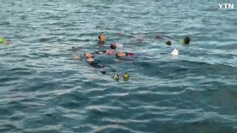 필리핀 민도로섬에서 실전 바다 생존술 동영상