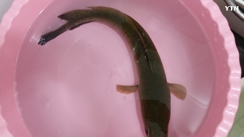 유로 낚시터 도박