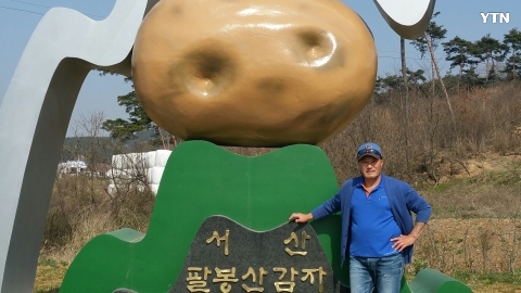 팔봉산 감자축제