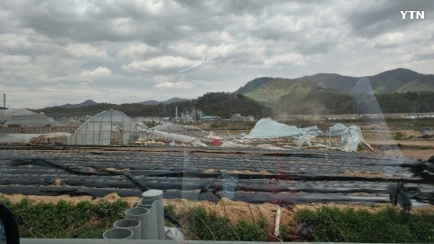 강풍으로 인한  비닐하우스 파괴