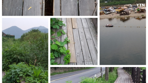 광탄봉황정 산책로