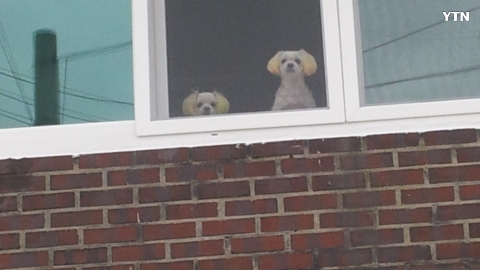 나를 기다려 ㅡ 혼밥 혼술 혼자