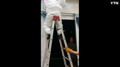 요즘 벌이  무서워요