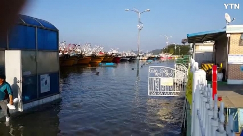 보령시 오천항 대조기시 바닷물 부두침수