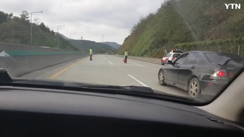 고속도로에 개가 출현해서 통행제한?