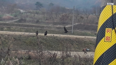 독수리 아닌가 싶어요