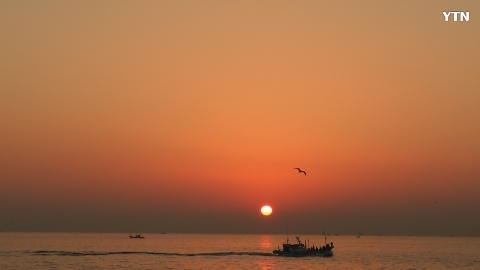 속초에서의 새해