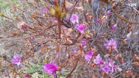 영덕 푸른 바다에..