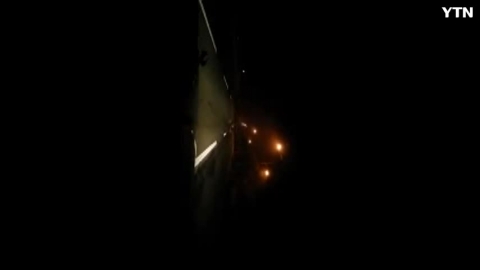 도심은 출몰한 멧돼지